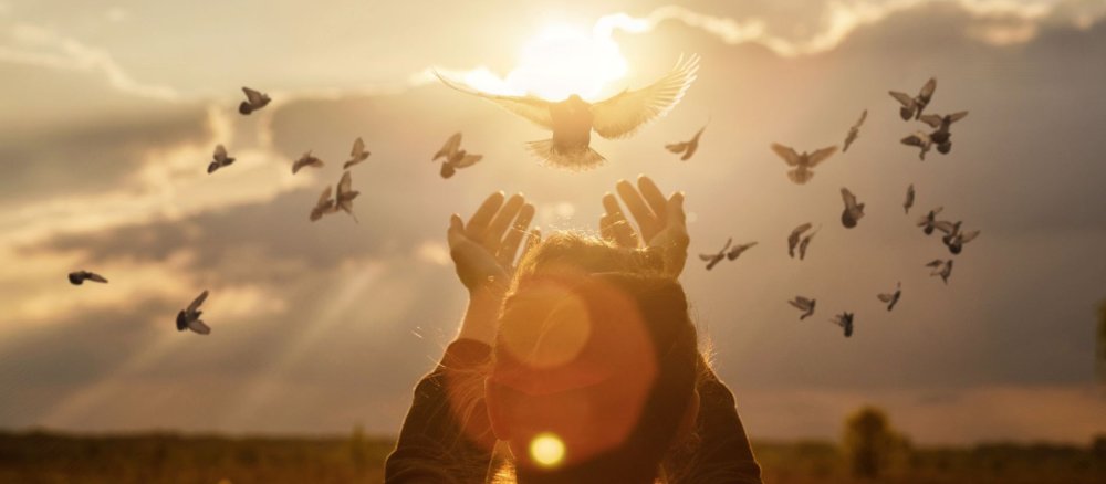 Taube fliegt auf Frau zu, Sonne
