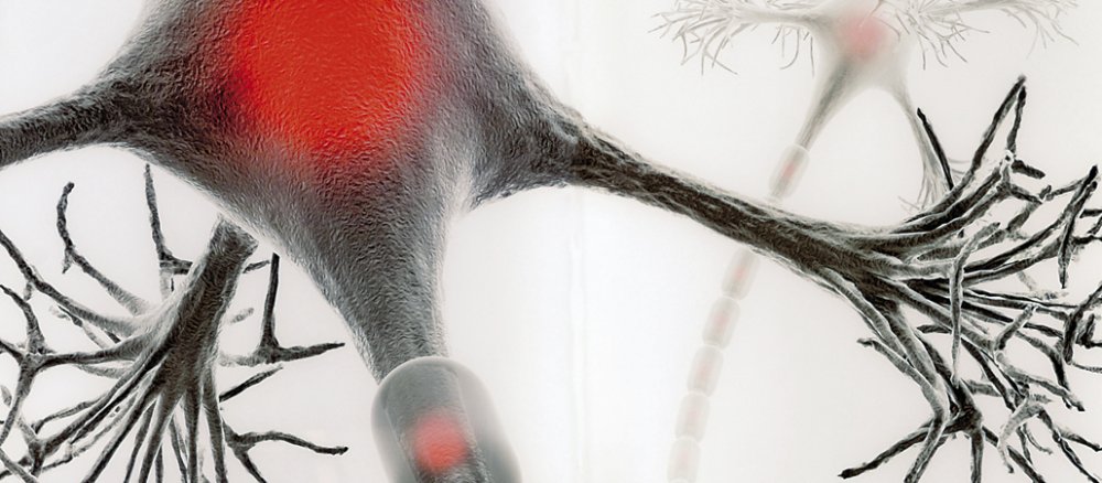 Spanien: Graphik einer Synapse (Kontaktstelle zwischen Neuronenzellen) im Museum der menschlichen Evolution in Burgos