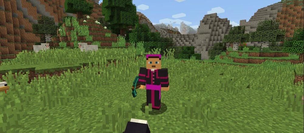 Mainzer Bischof Peter Kohlgraf spiel "Minecraft"