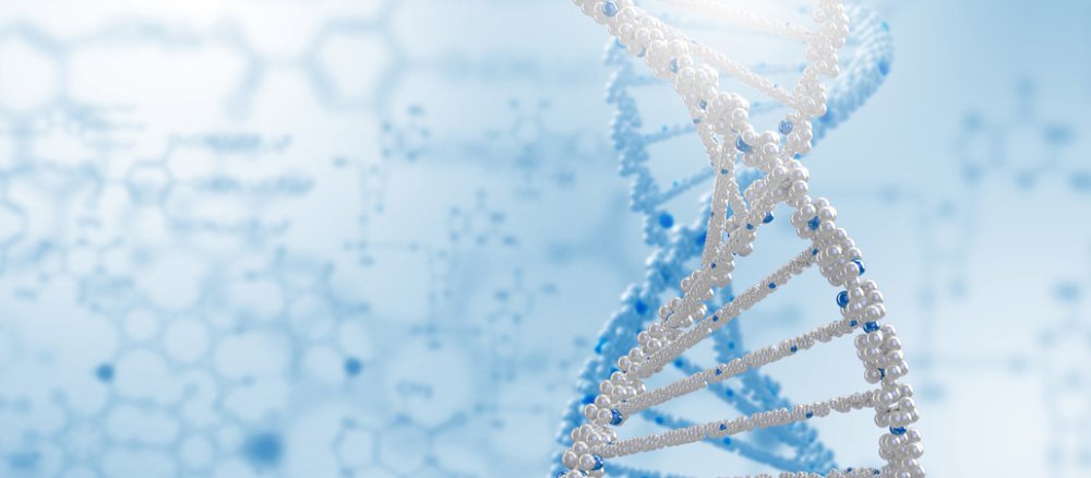 Ein DNA-Strang.