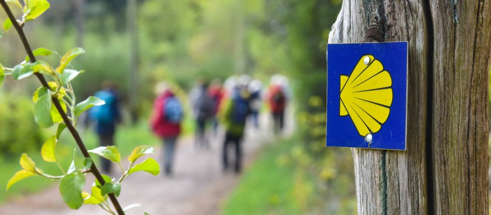 Pilgerinnen auf dem Jakobsweg