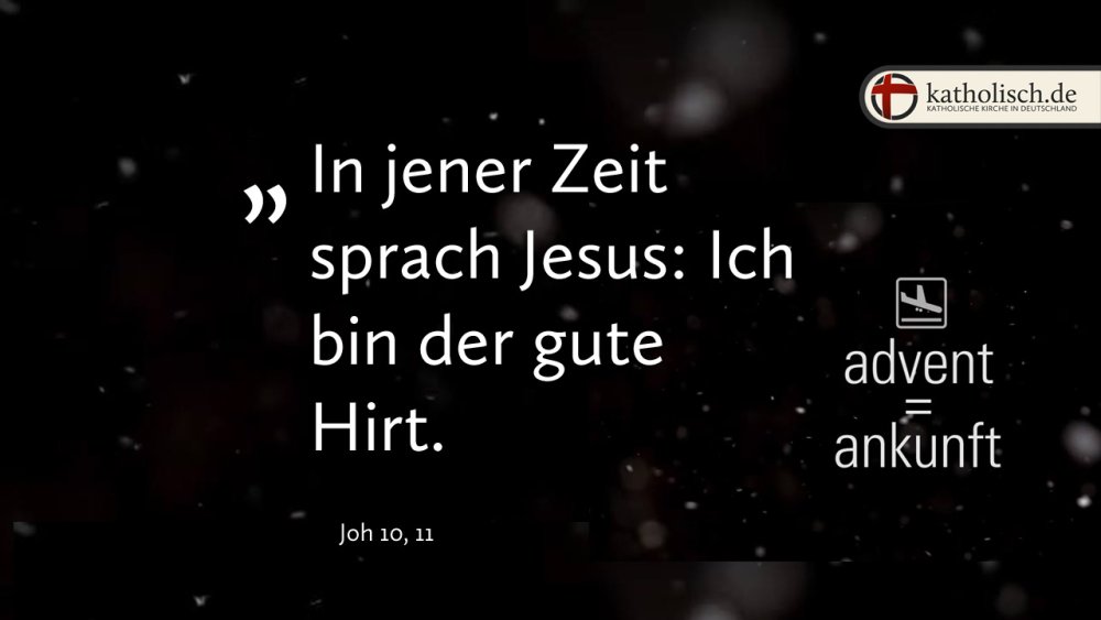 "In jener Zeit sprach Jesus: Ich bin der gute Hirt." – Joh 10, 11