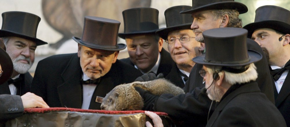 Mitglieder des "Inner Circle" scharen sich am 2. Februar um das wettervorhersagende Murmeltier Punxsutawney Phil im US-Bundesstaat Pennsylvania.