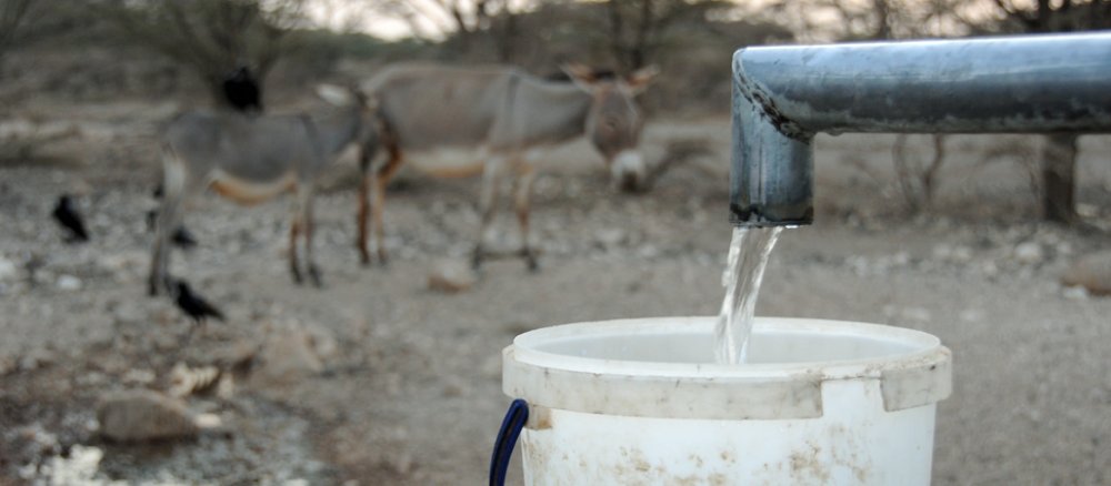 Auf einem Wasserhahn läuft Wasser in einen Eimer.
