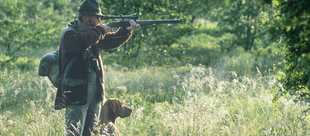 Ein Jäger im Wald hält sein Gewehr am Anschlag