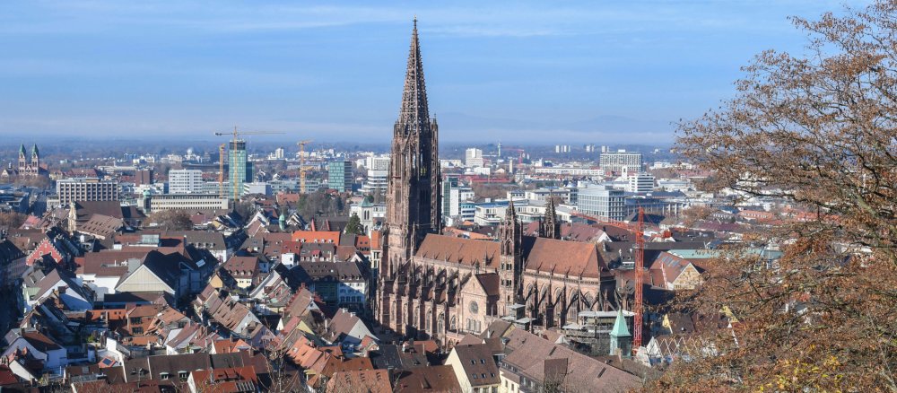 Das Freiburger Münster und die umgebenden Häuser.