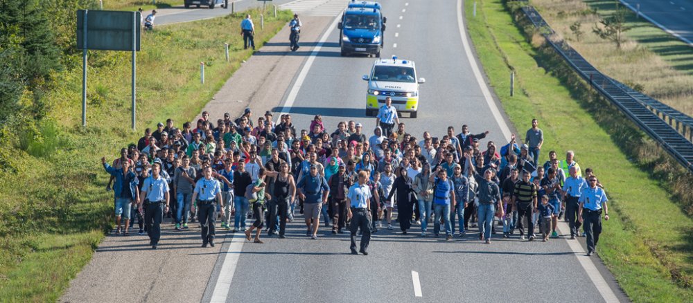 Zahlreiche Flüchtlinge laufen am 09.09.2015 bei Kliplev über die Fahrbahn der dänischen Autobahn E 45 in Richtung Norden.