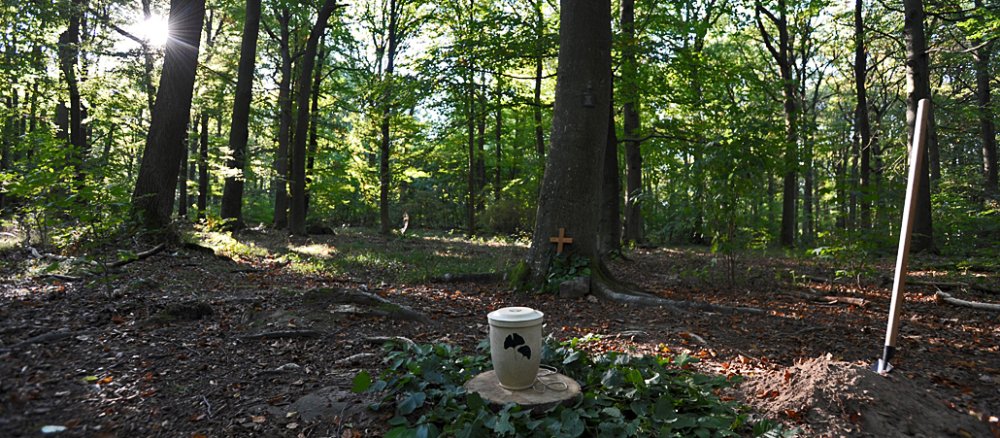 Eine biologisch abbaubare Urne steht an einem Mustergrab im Friedwald im Steigerwald östlich von Würzburg.