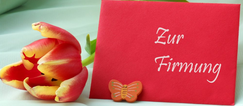 Ein unbeschrifteter Briefumschlag und eine Tulpe
