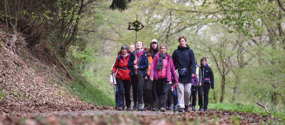 Eine Gruppe Frauen pilgert durch den Wald