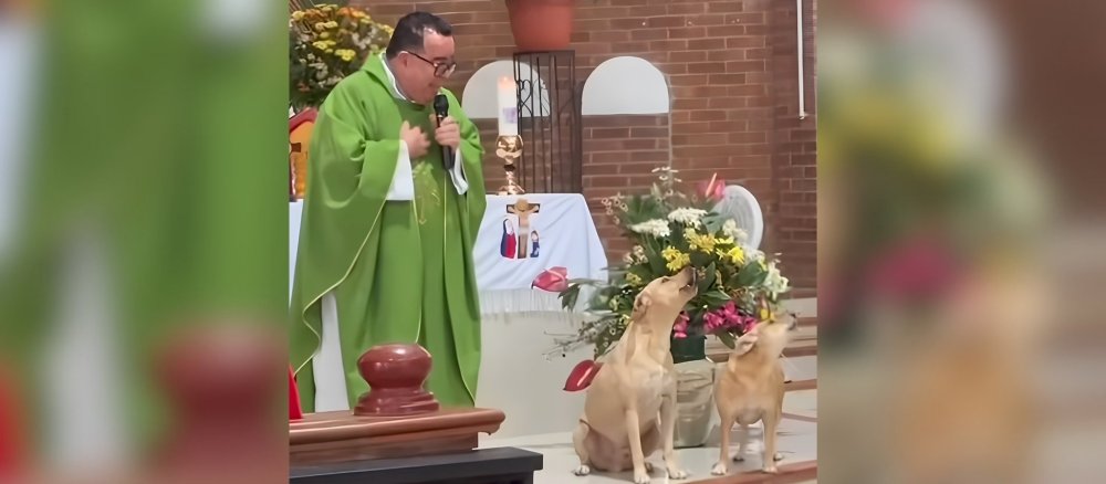 Ein Priester steht mit einem Mikrofon in der Hand im Altarraum. Neben ihm jaulen zwei Hunde.
