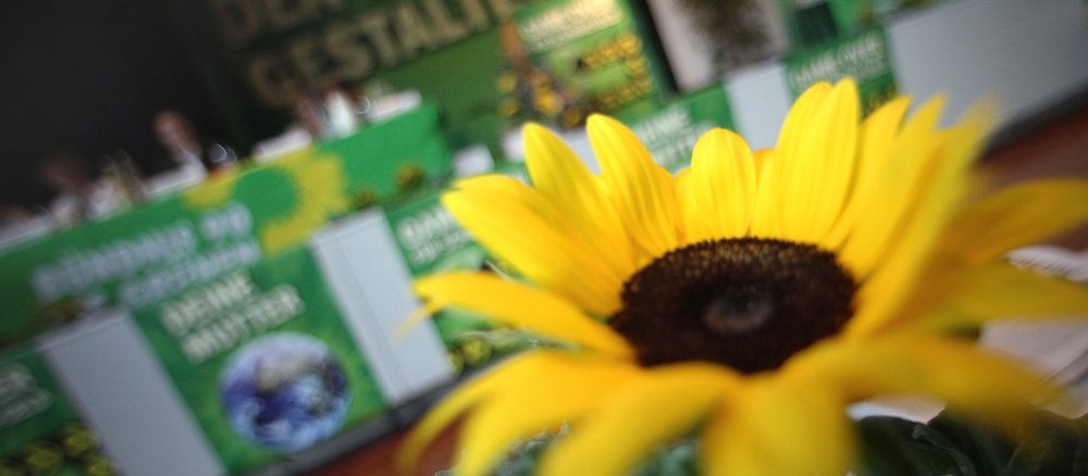 Vor den Aufbauten eines Parteitags von "Bündnis 90/Die Grünen" steht eine Sonnenblume.