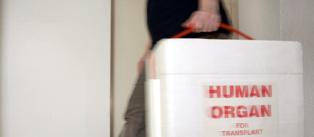 Eine spezielle Kühlbox für Spenderorgane.