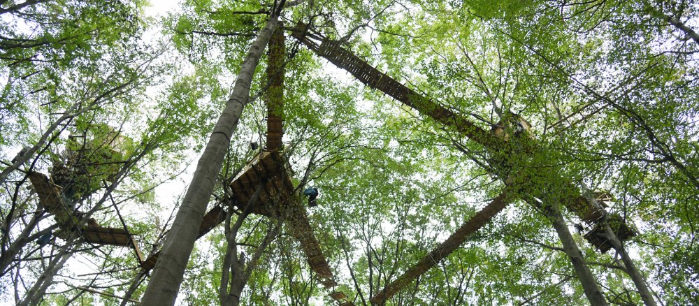 Baumhäuser im Hambacher Forst