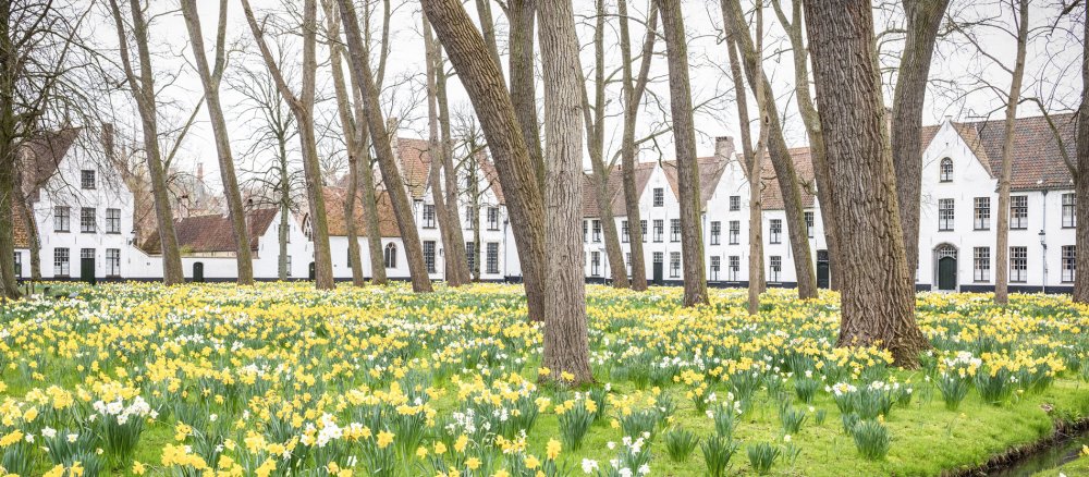 Beginenhof am 29. März 2023 in Brügge.