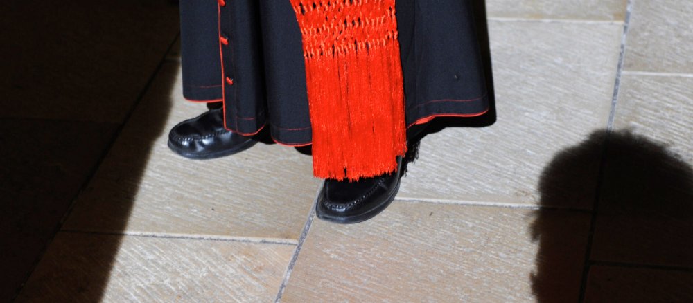 Cardinal in the light