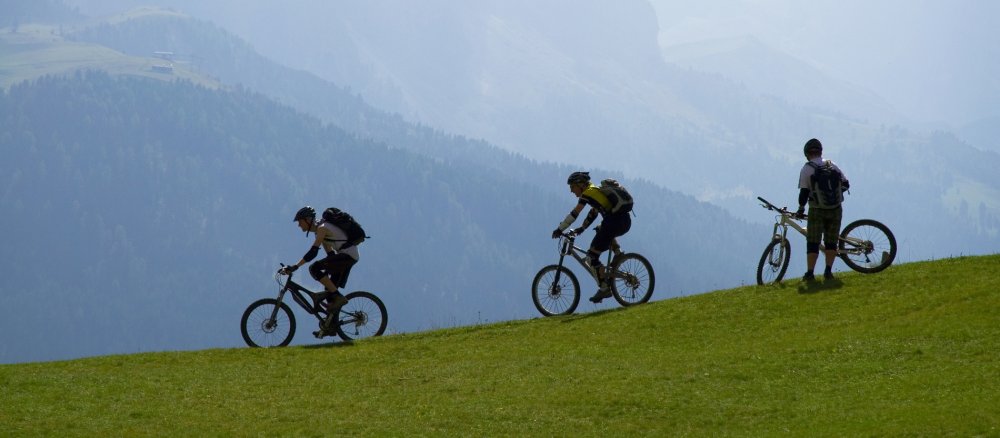Three cyclists wearing helmets ride down a green meadow. High mountains can be seen in the background.