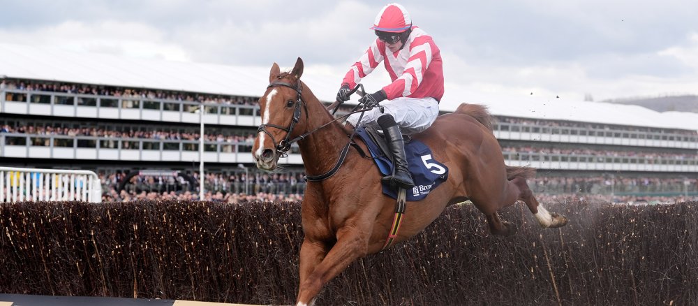 Lecky Watson überspringt mit seinem Jockey Sean O'Keeffe ein Hindernis
