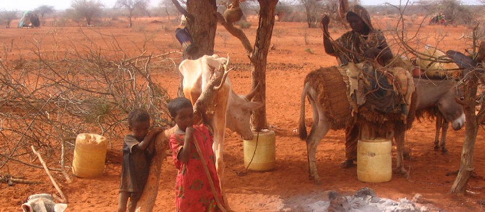 Dürre in Kenia