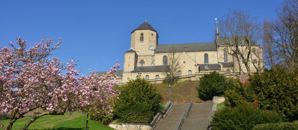 Münster St. Vitus in Mönchengladbach