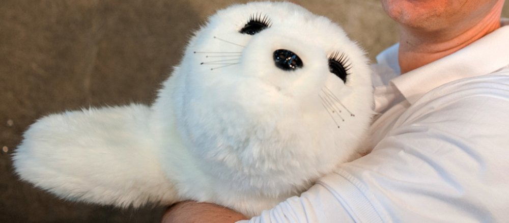Weiße Kuscheltierrobbe