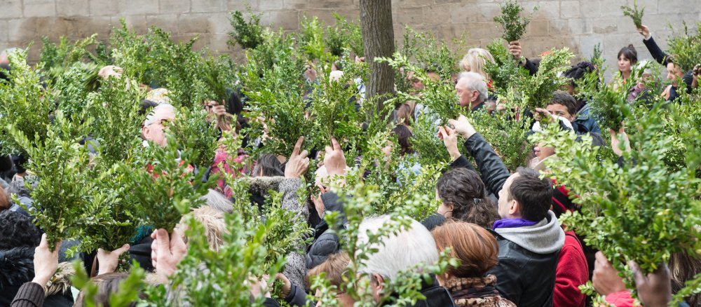 Menschen mit Palmzweigen