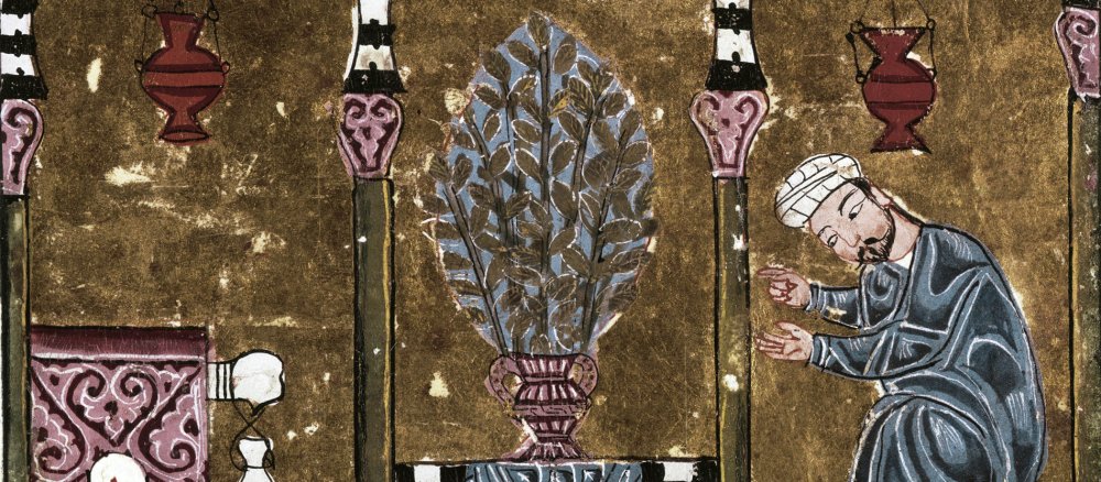 Ein Myrrhe-Baum