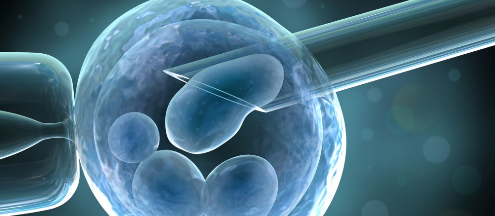 Die Präimplantationsdiagnostik (PID) hat in Deutschland eine große Debatte ausgelöst.