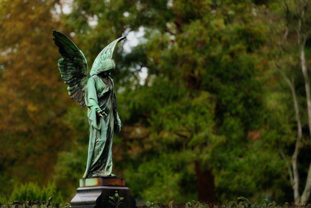 Verwunschene Engelstatue aus Patina-Bronze inmitten der magischen, grünen Natur des historischen Melaten-Friedhofs in Köln