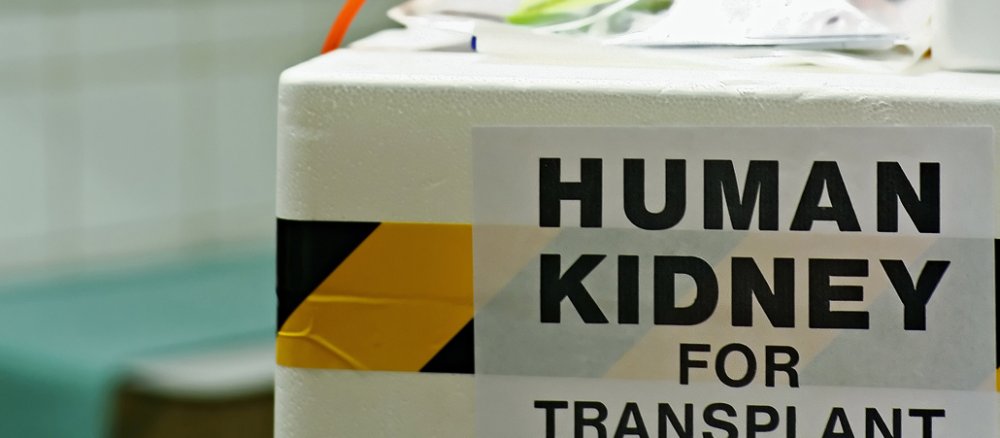 Eine Transplantationsbox