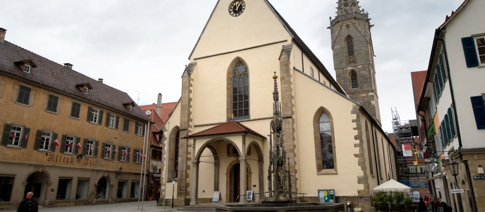 Der Dom St. Martin in Rottenburg.
