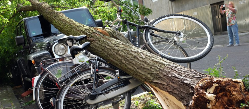 Ein umgestürzter Baum begräbt Fahrräder und ein Auot unter sich.