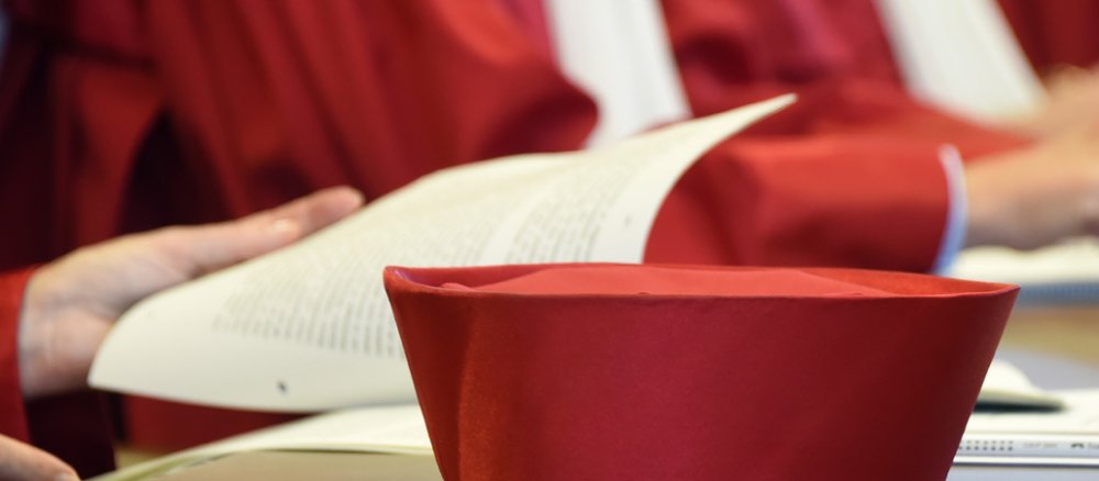Richterroben in der Nahaufnahme