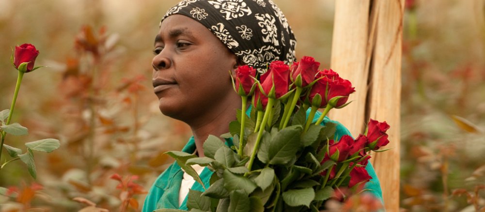 Frau auf einer Blumenfarm