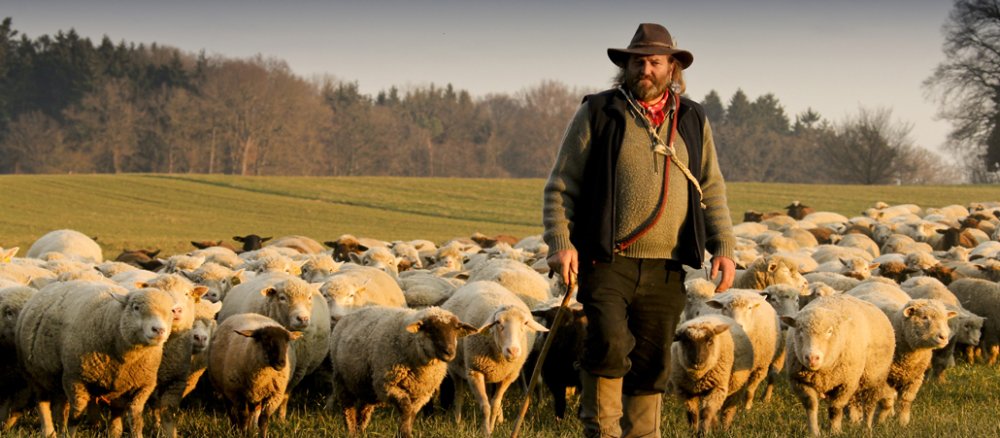 Ein Hirte unterwegs mit seiner Schafherde.