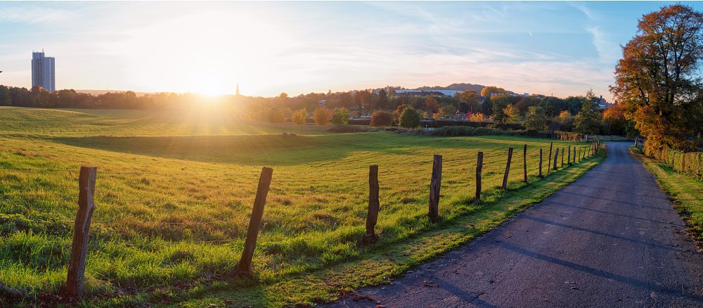 Wiese in Aachen im Herbst