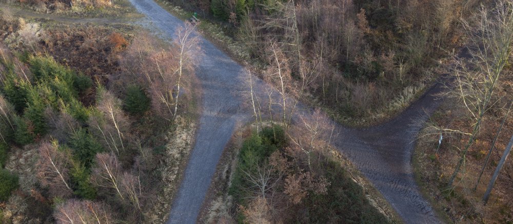 Weggabelung im Naturpark Arnsberger Wald