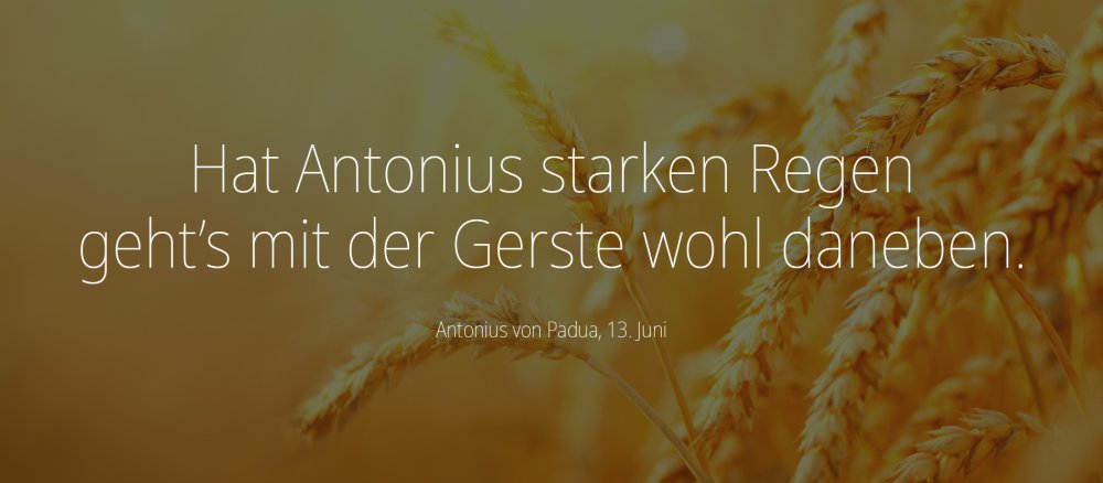 Antonius von Padua Bauernregeln