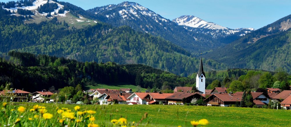 Die Dorfkirche St. Blasius in Rettenberg im Oberallgäu. Im Vordergrund eine Wiese mit blühendem Löwenzahn, hinten einige Bergspitzen mit Schneeresten.