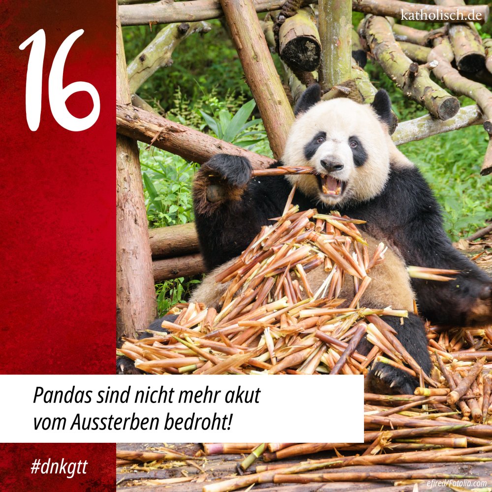 Adventskalender Tag 16