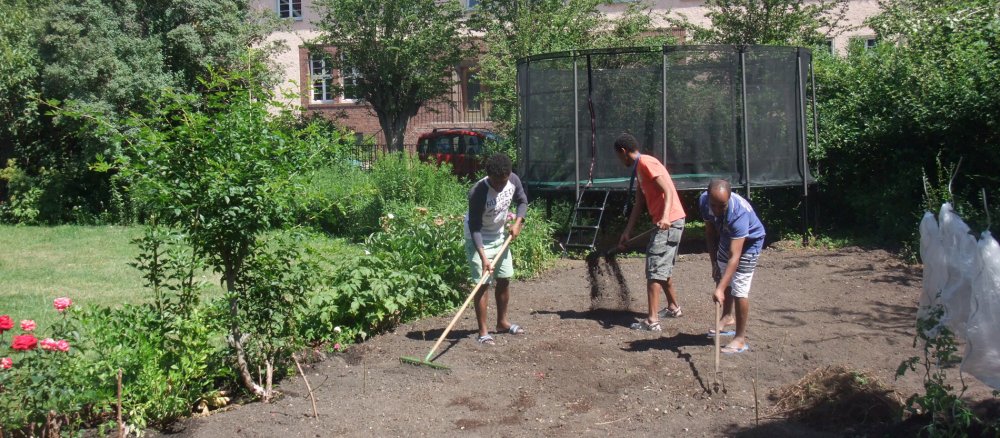 Flüchtlinge aus Eritrea kümmern sich in Haldensleben auch um den Pfarrgarten.