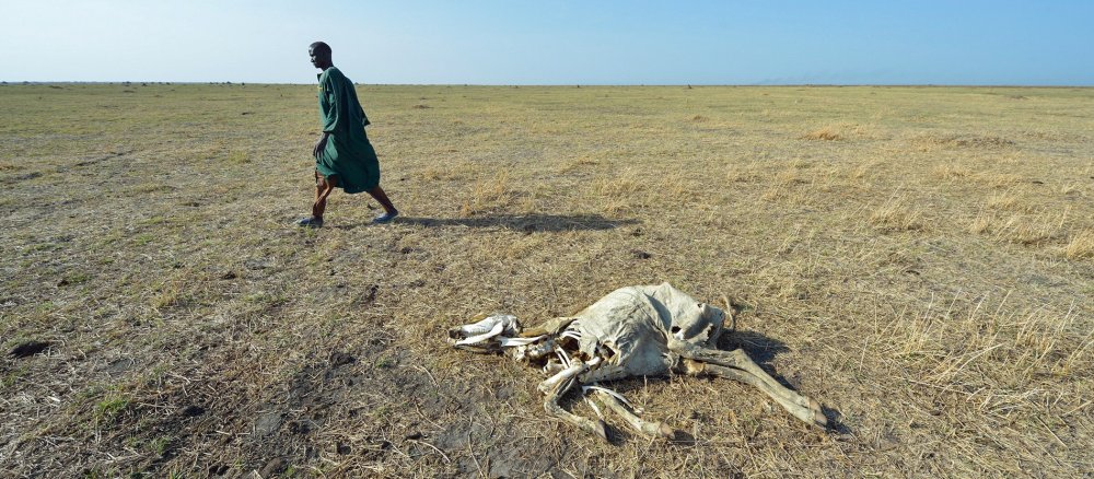 Landschaft im Südsudan