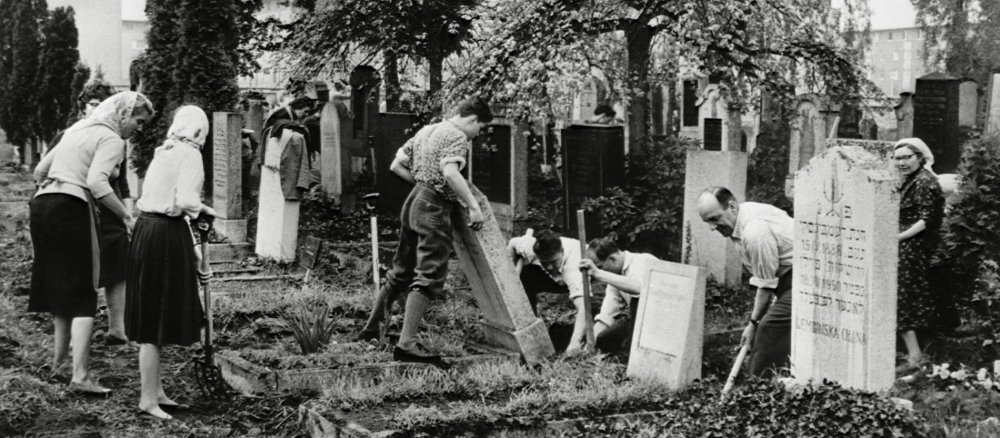 80 Mitglieder des "Pater-Leppich"-Aktivkreises legen auf dem jüdischen Friedhof in Augsburg neue Wege an und richten über 200 Gräber her. (Mai 1961)
