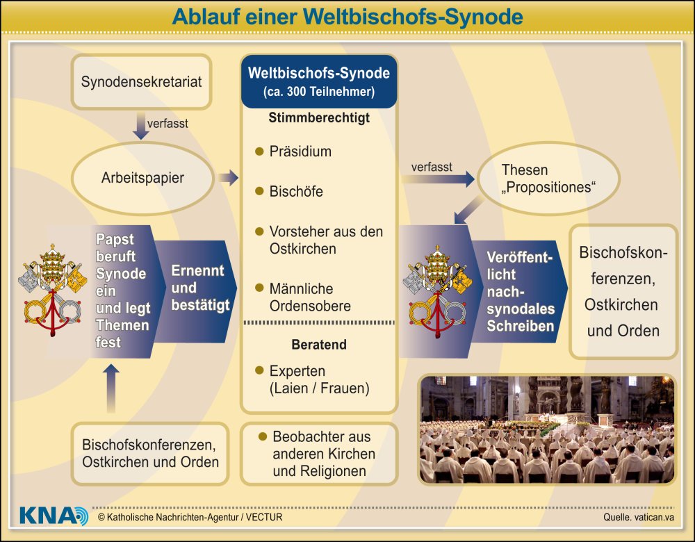 Organigramm der Bischofssynode