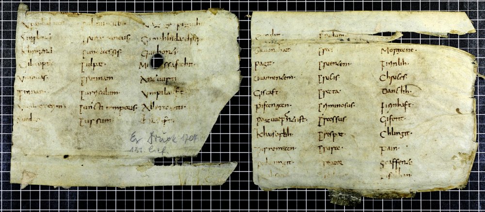 Fragmente des mittelalterlichen Abrogans aus dem Stiftsarchiv Admont