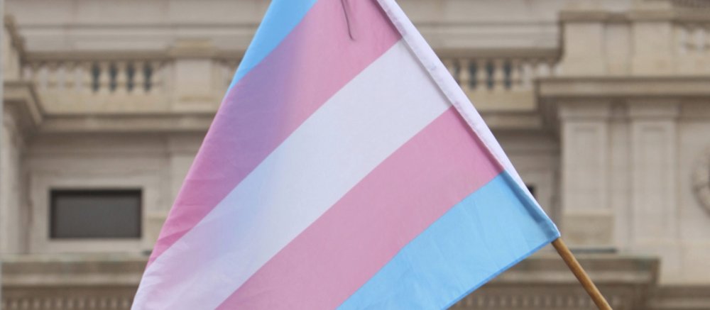 Die Transgender-Flagge