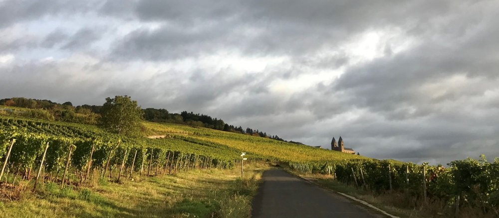 Abtei St. Hildegard in den Weinbergen