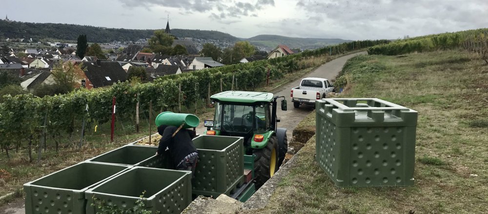 Anhänger mit Weinbütten