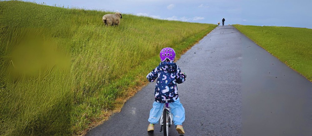Ein Kind mit lila Fahrradhelm und bunter Regenjacke fährt auf einem nassen, asphaltierten Weg durch eine grüne Hügellandschaft. Links im Gras steht ein Schaf, weiter vorne fährt eine weitere Person mit Fahrrad. Der Himmel ist bewölkt.
